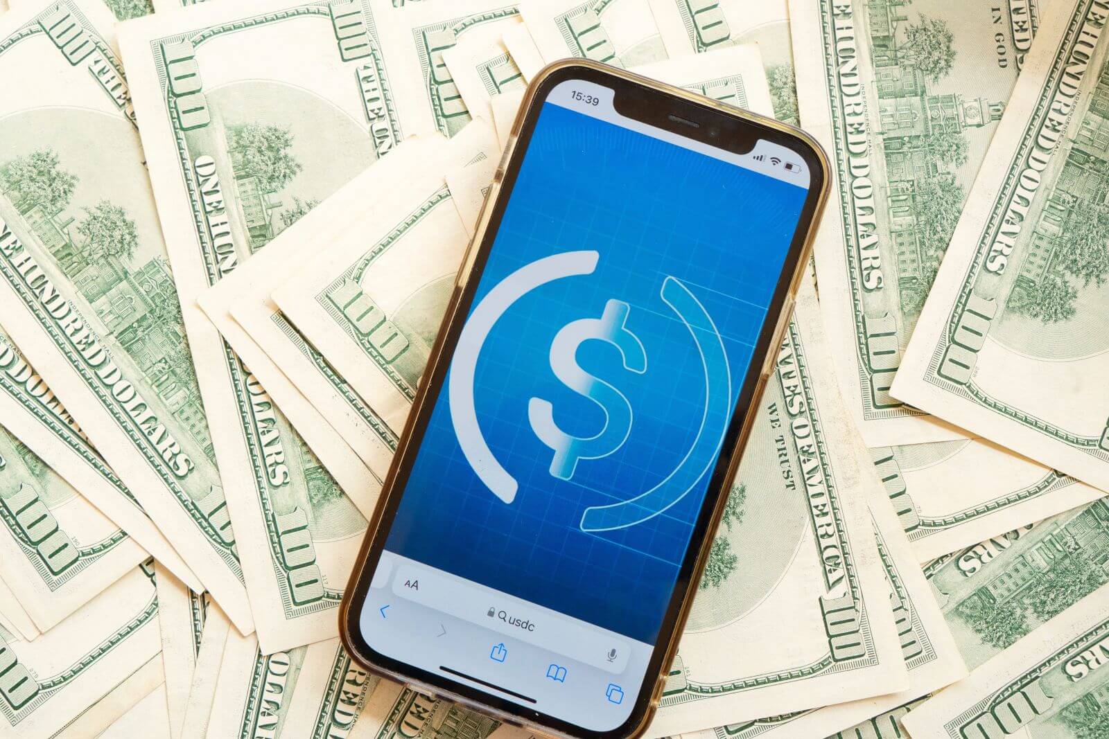 Should You Buy Circle Stock Following the CRCL IPO?